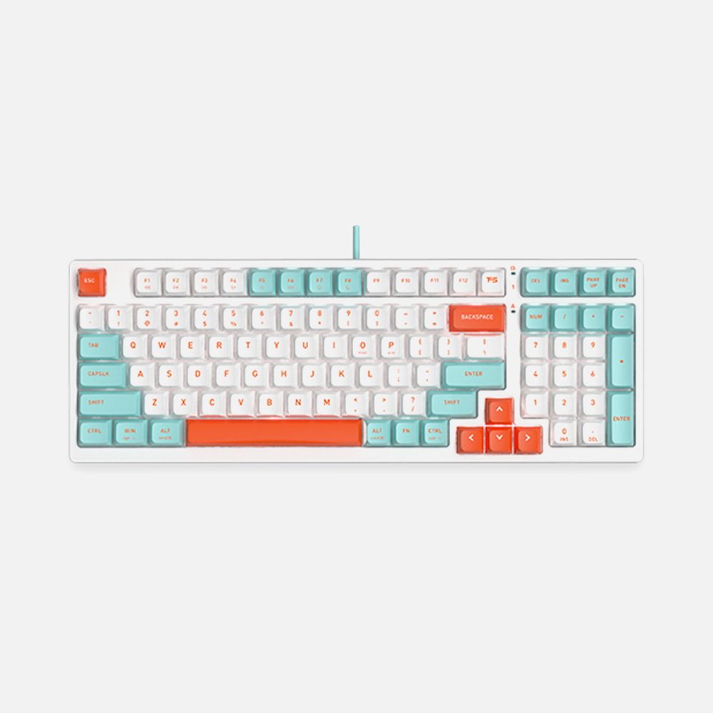 fs300 panda snorkeling-1